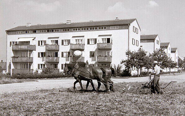 WHS Historie, Foto 1950