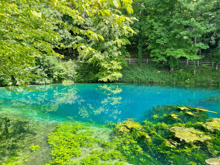 Blaubeuren: Die WHS betreut die Erneuerung rund um den Blautopf