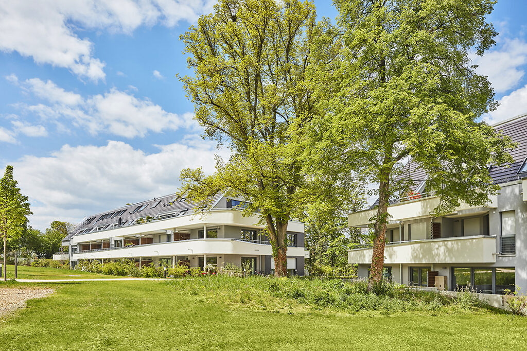 WHS Bauvorhaben